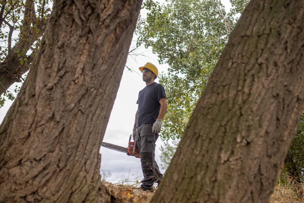 A closeup of a lumberjack with a chainsaw in a forest