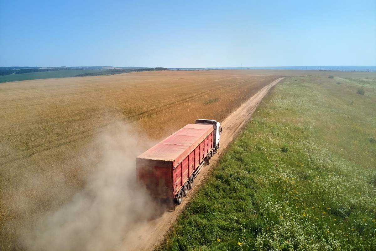 Aerial view of cargo truck driving on dirt road between agricultural wheat fields making lot of dust. Transportation of grain after being harvested by combine harvester during harvesting season.