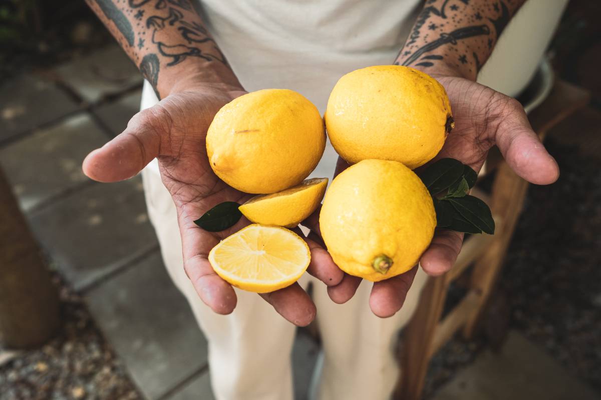 lemons-with-leaves-in-hands-background-2024-12-06-08-15-36-utc (1)