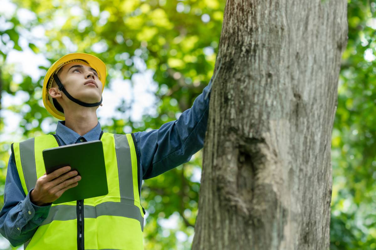 Male engineer wearing a helmet on his head Check the weather conditions of nature and environment. Ready to use technology to work with digital tablets at renewable energy farms on tablets.