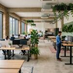 ergonomic office fitout with sit-stand desks and biophilic design