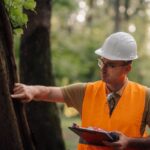 Forestry engineer examining tree bark for signs of disease or insect infestation, holding clipboard and wearing safety helmet
